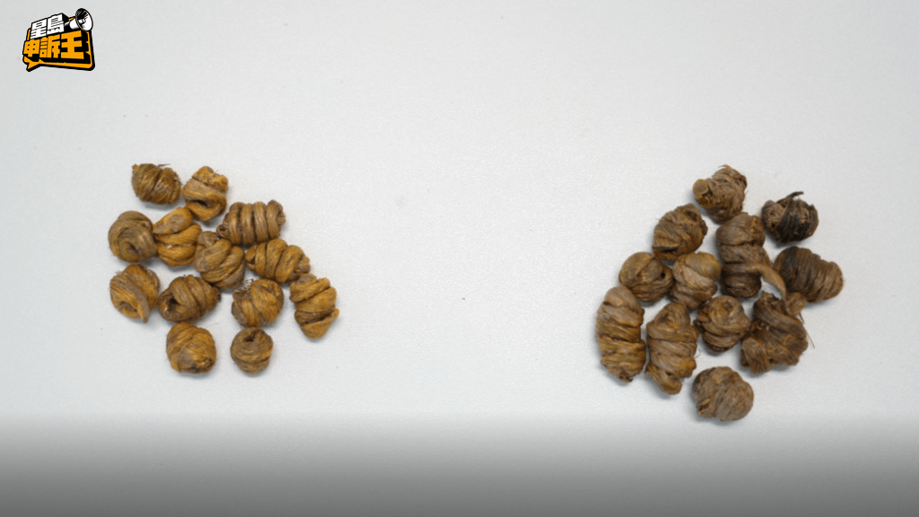 正品石斛（左）色澤以黃綠色為主，湊近細聞帶有淡淡草腥味，質地堅實。