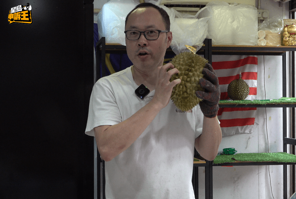 判斷熟第三招:搖一下看看會否離殼,如果感覺到果肉與殼分離,就代表已經成熟。 判斷熟第三招:搖一下看看會否離殼,如果感覺到果肉與殼分離,就代表已經成熟。