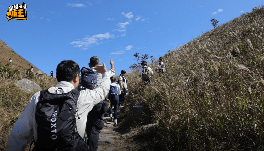 亦有人踩進芒草堆裡拍照打卡。