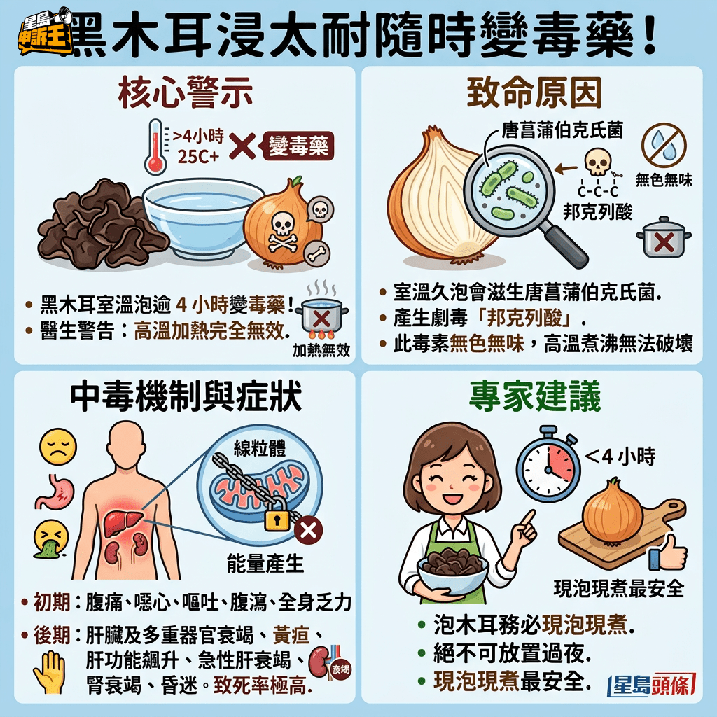 黑木耳室溫泡逾4小時變毒藥 黑木耳室溫泡逾4小時變毒藥