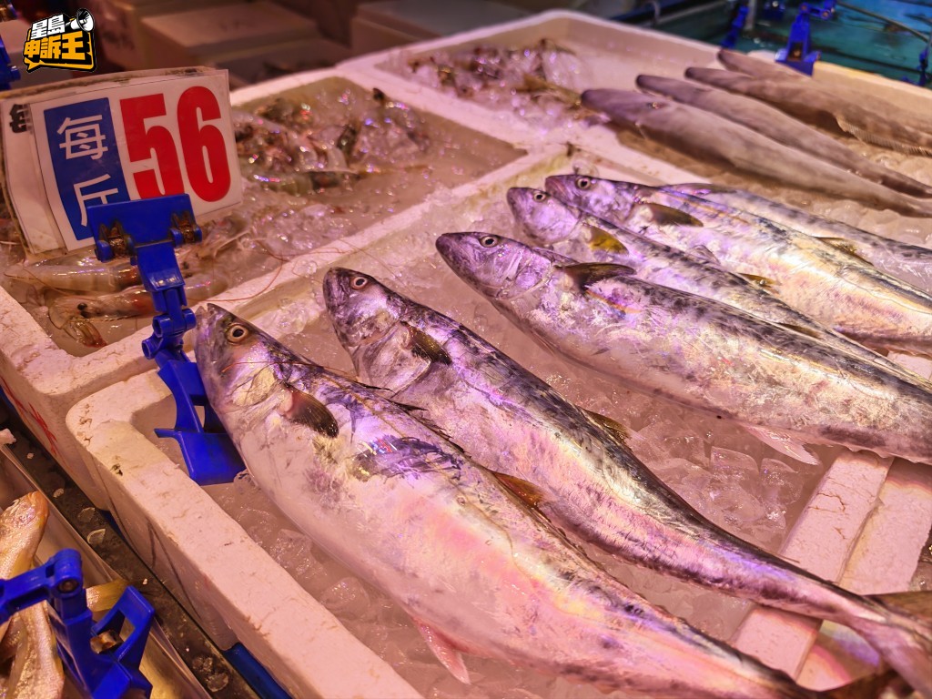 在本地街市買鮫魚,每斤平均亦需要50餘元。 在本地街市買鮫魚,每斤平均亦需要50餘元。