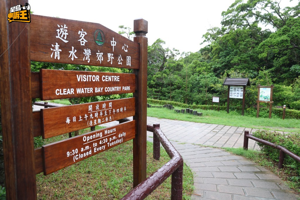 事發當天，Tracy和友人去到清水灣郊野公園放狗。