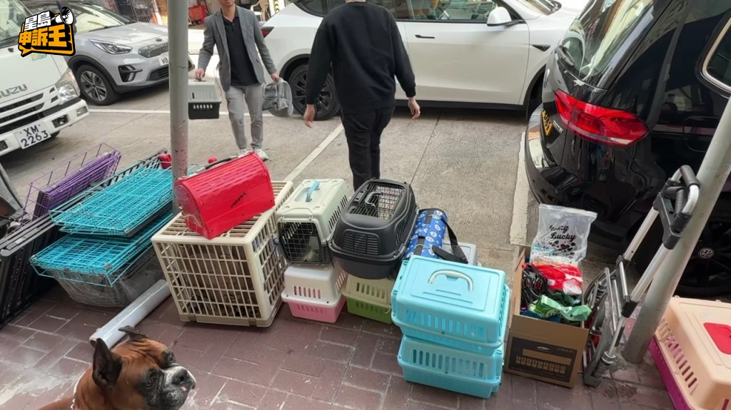 有寵物店向災民提供寵物物資支援和暫托服務。 有寵物店向災民提供寵物物資支援和暫托服務。