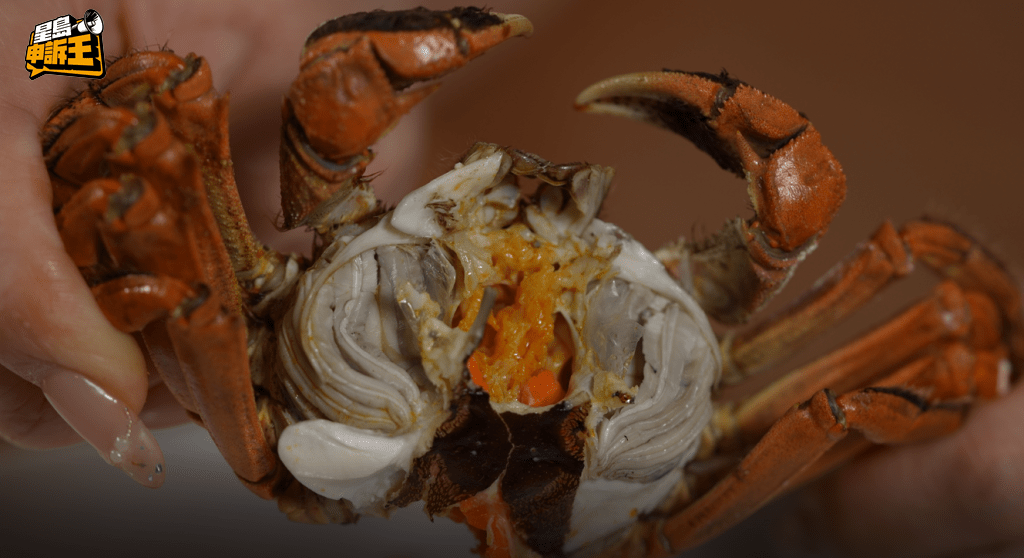 香港購買的江蘇大閘蟹,蟹膏明顯質地更為軟滑。 香港購買的江蘇大閘蟹,蟹膏明顯質地更為軟滑。