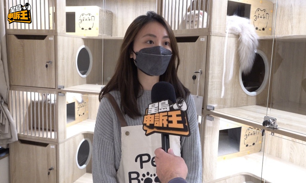 涉事寵物店店主陳小姐解釋，推出租貓服務， 首先是認為貓可以治療悲傷，亦希望減少棄養寵物。