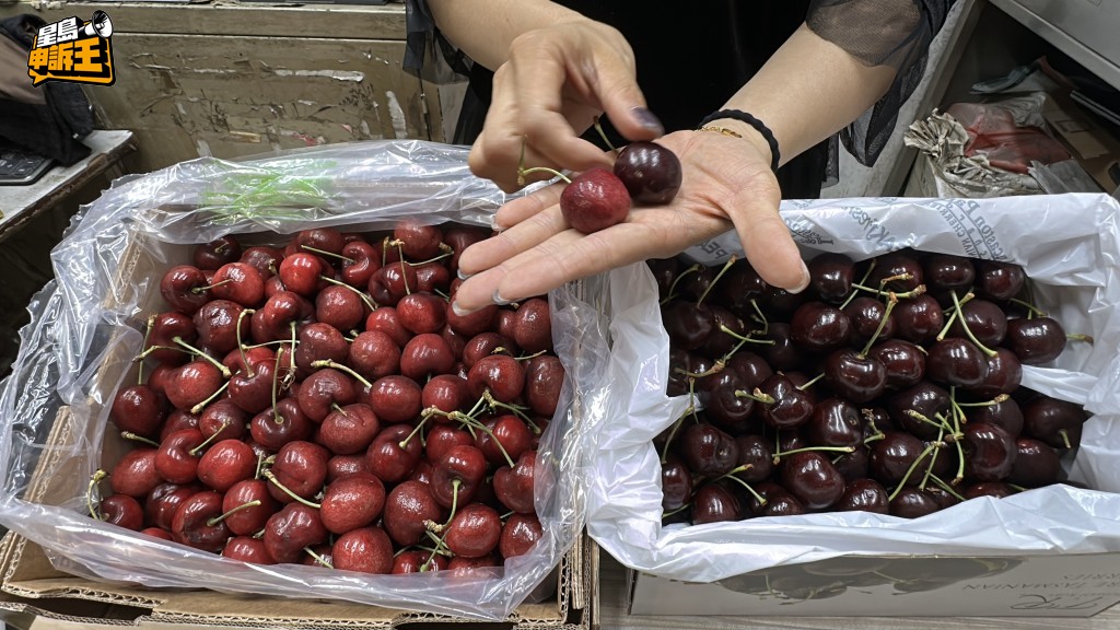 Zoey表示,智利車厘子(左)與塔斯車厘子(右)外表容易分辨。 Zoey表示,智利車厘子(左)與塔斯車厘子(右)外表容易分辨。