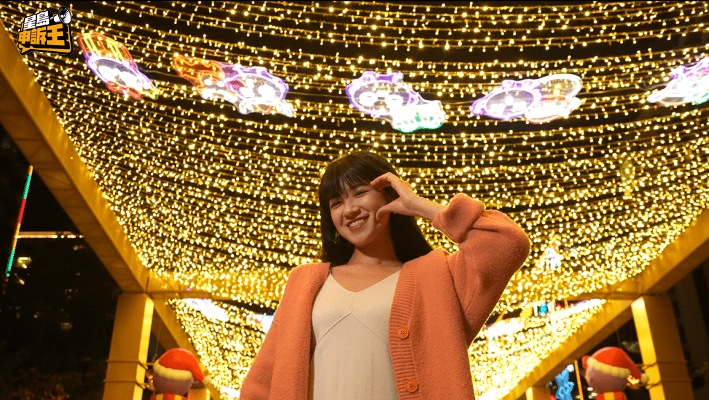 精選打卡位3：位於百周年紀念花園「提子聖誕步道」。