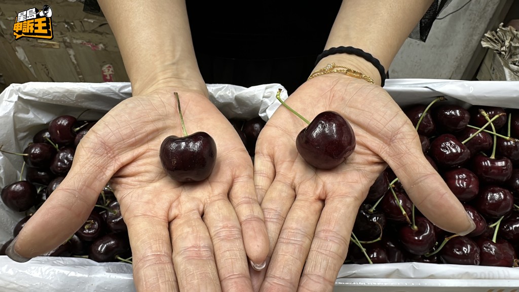 塔斯車厘子顏色比較深,色澤非常光滑。 塔斯車厘子顏色比較深,色澤非常光滑。