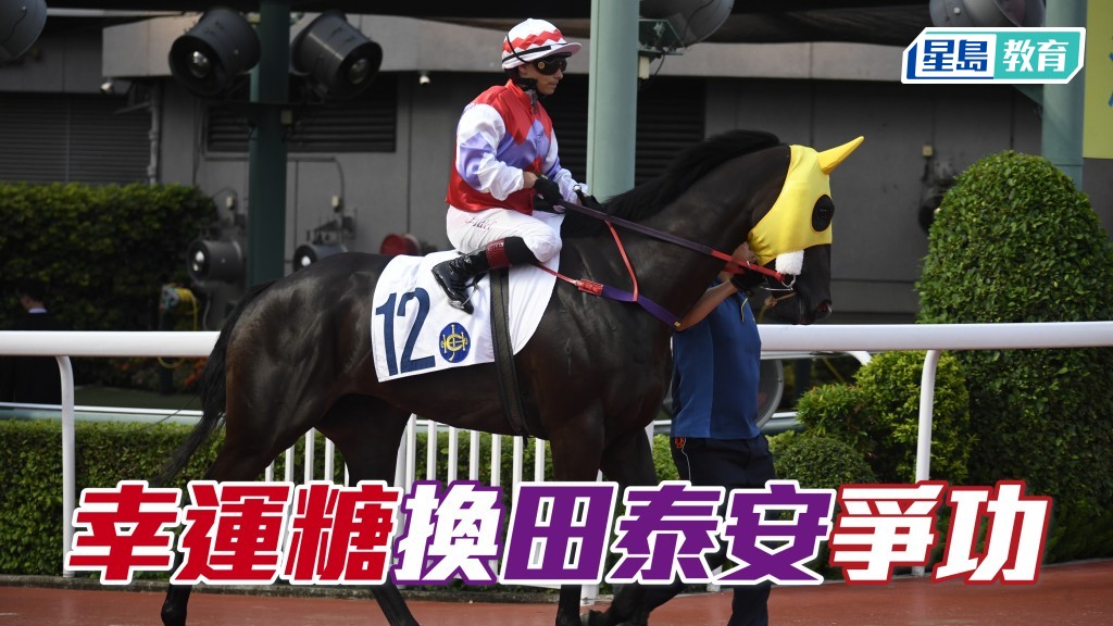巴度騎「實力股」 造就田泰安食「糖」