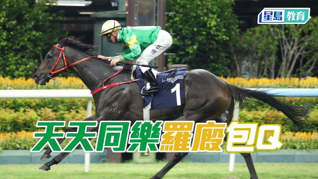 「天天同樂」羅廄包Q
