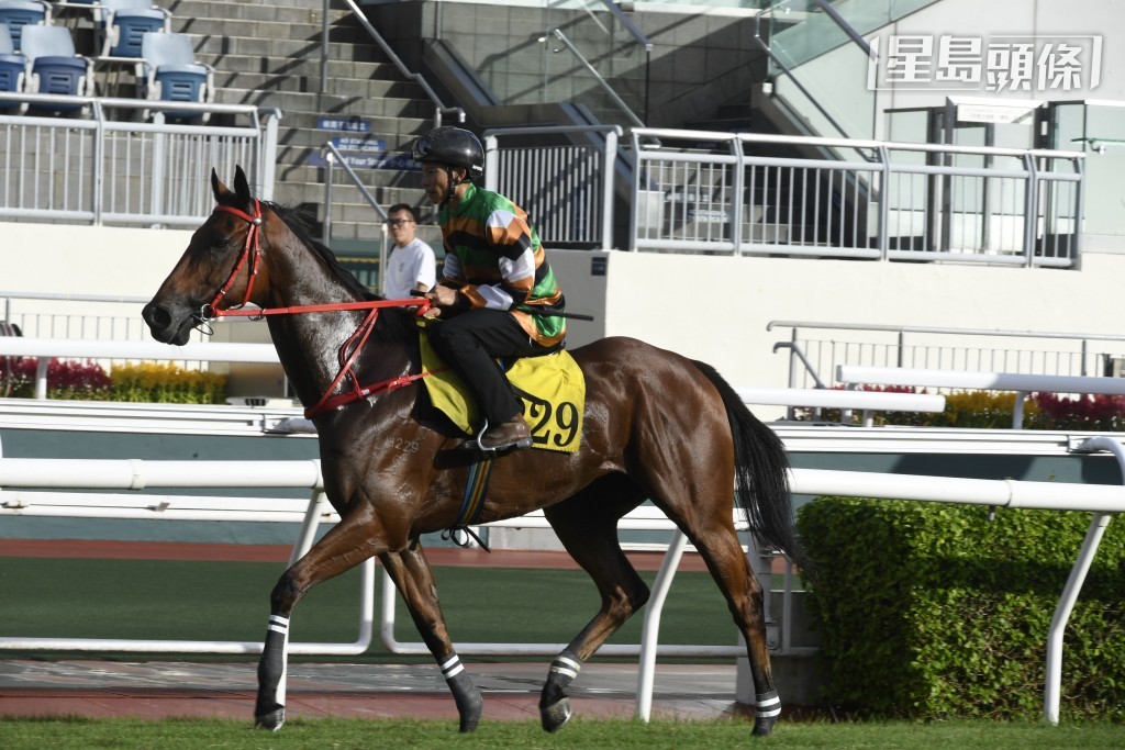 「運來勇士」轉投葉楚航馬房初出，即報跑曾勝的泥地千二米，成績如何？