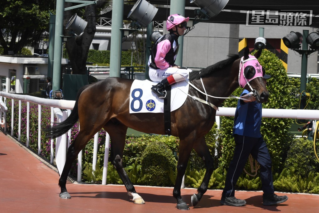 「美麗歡聲」出戰第二場五班一哩。