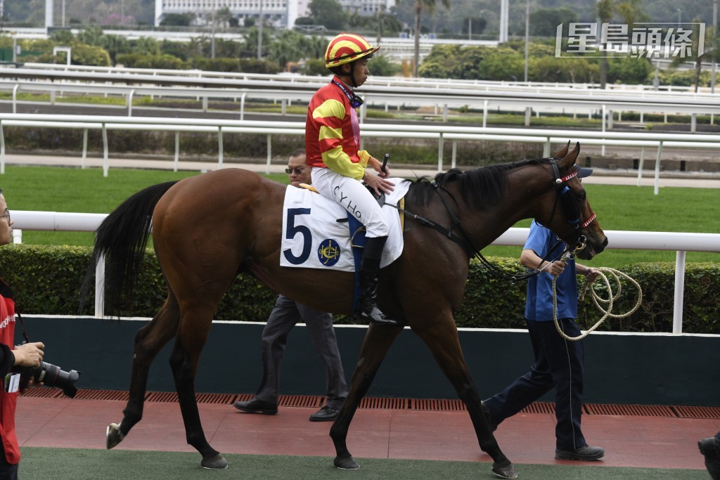 「時間寶」今次轉爭泥地一哩，希望能爭取轉廄後首捷交代。