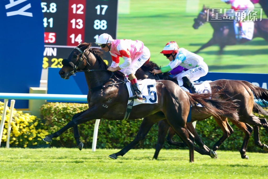 「都靈冠星」(圖) 及「香港仔」今戰成績如何? 「都靈冠星」(圖) 及「香港仔」今戰成績如何?