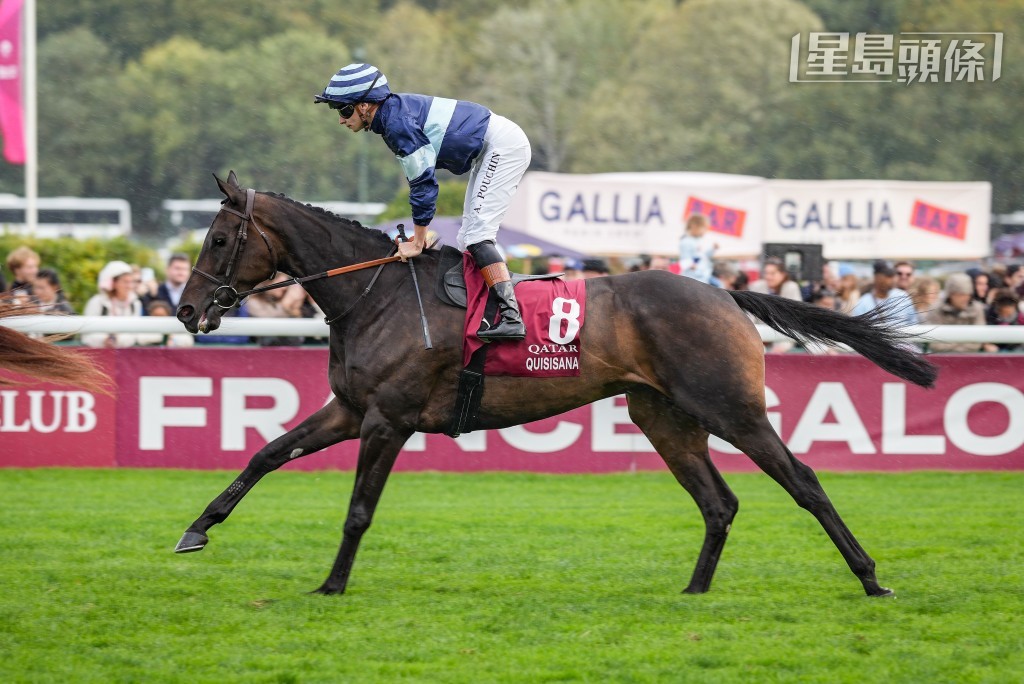 「健身心」是葛威法旗下另一匹一級賽盟主。