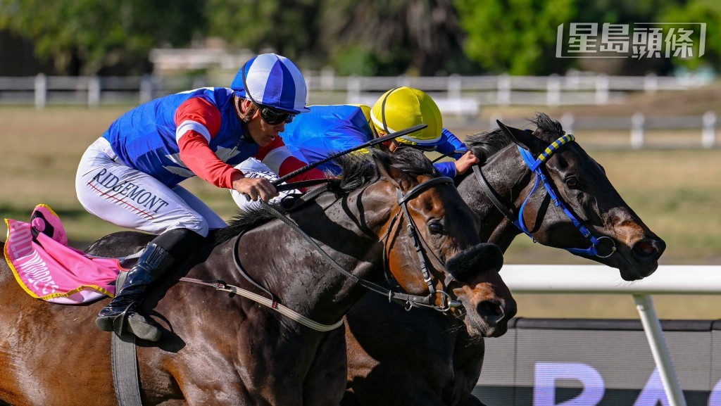 袁幸堯 (內) 在南非客串五個月，共取得七冠七亞九季，成績不俗。