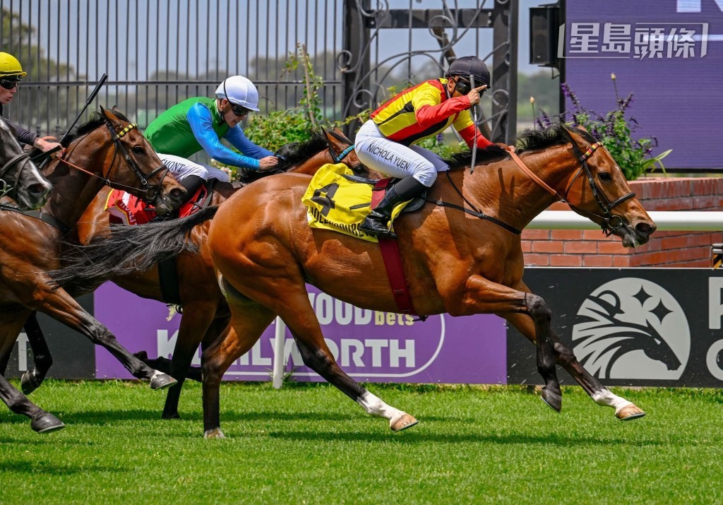 昨(8/11)日舉行開普敦夏季賽期首天賽事,頭場處女馬千二米直路賽,仍由香港見習學員袁幸堯,策騎由冠軍練馬師史奈斯訓練,前香港馬「四千金」和「少爺仔」的馬主Jean-Paul Cuvelier,名下的Navaseven爆出十四倍冷門贏馬。 昨(8/11)日舉行開普敦夏季賽期首天賽事,頭場處女馬千二米直路賽,仍由香港見習學員袁幸堯,策騎由冠軍練馬師史奈斯訓練,前香港馬「四千金」和「少爺仔」的馬主Jean-Paul Cuvelier,名下的Navaseven爆出十四倍冷門贏馬。