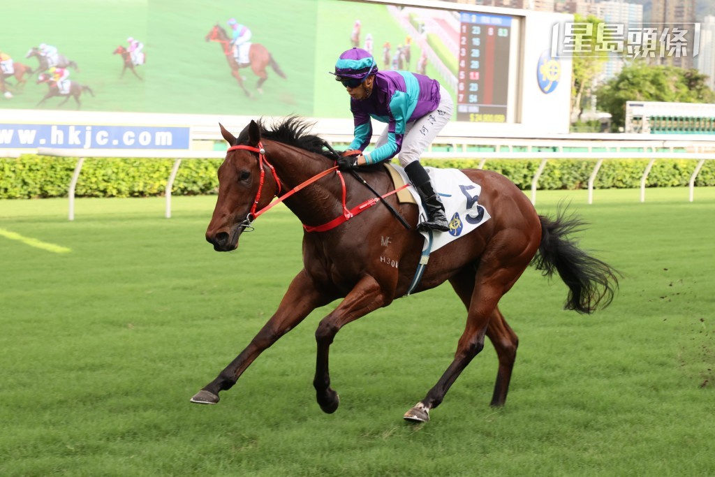 「實現夢想」力爭第四度掄元。