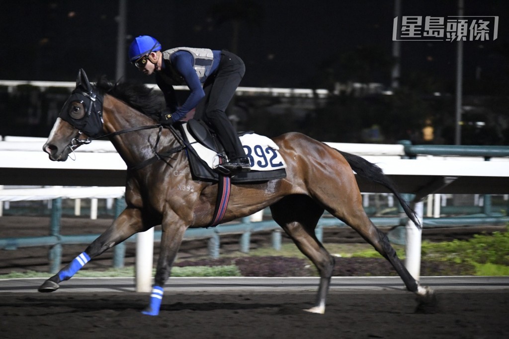 「幸运二十」（K392) (图) ，今早由霍宏声主操，丁冠豪全程紧张地检视整个过程。