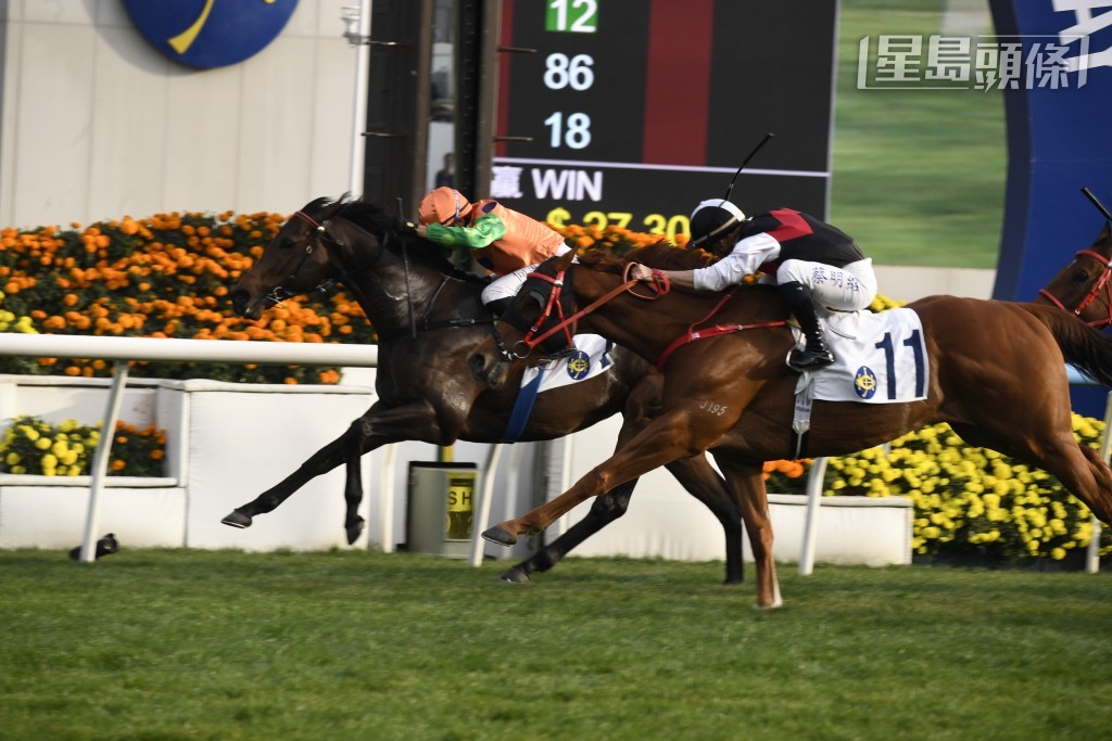 陈家梁目前养有「金鎗宝驹」、团体马「笑傲江湖」(内) 和「路飞驹」。