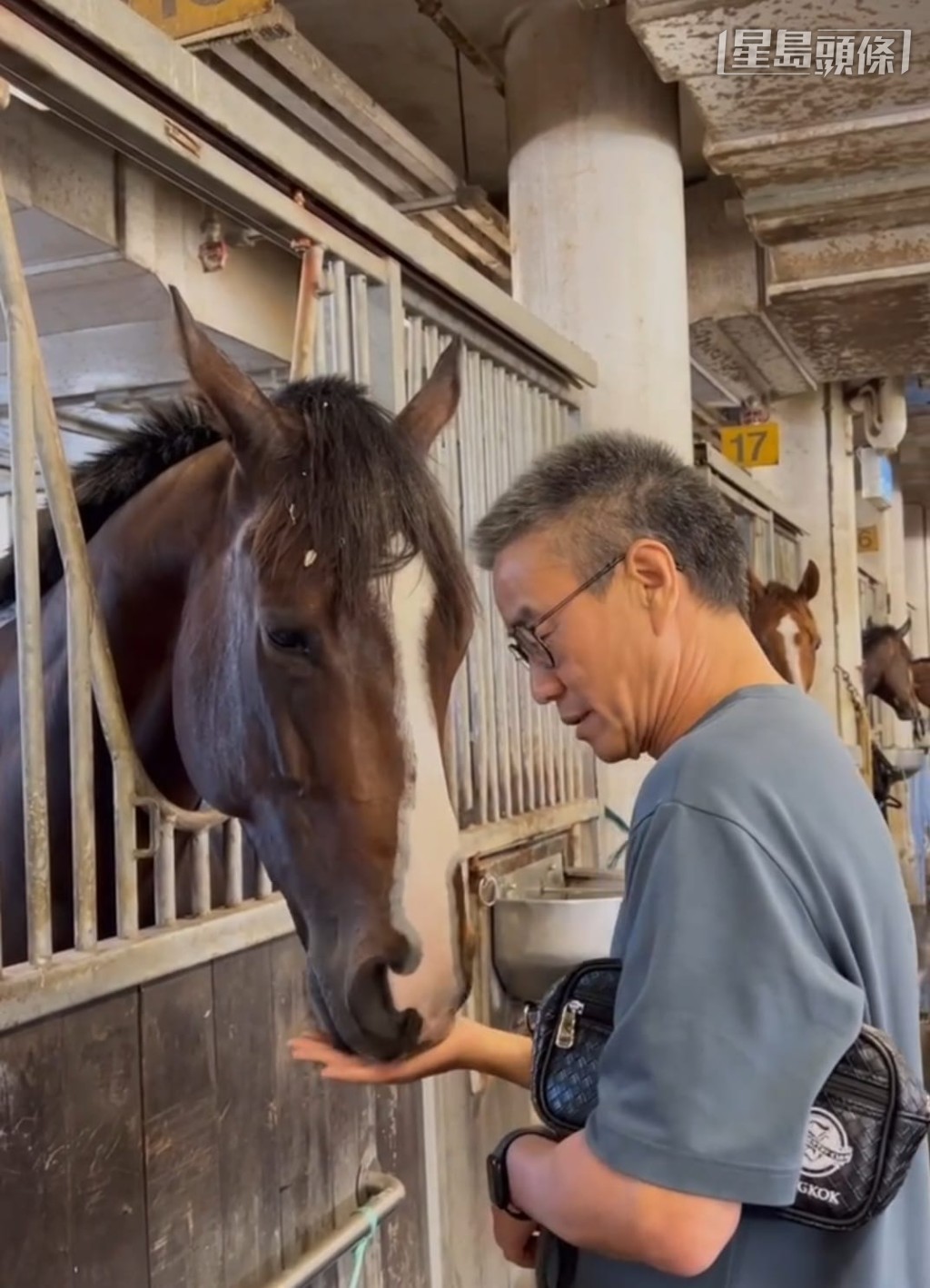 「好拍檔」馬主之一樂其龍指出愛駒現階段跑泥地更合。