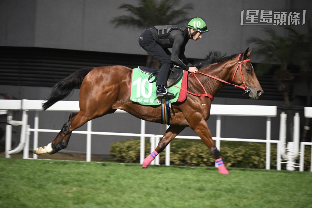 余国贤的「飞雪神驹」（第六场）和弟弟余国梁的「智取神驹」(图) （第四场香港瓶）均会出赛。