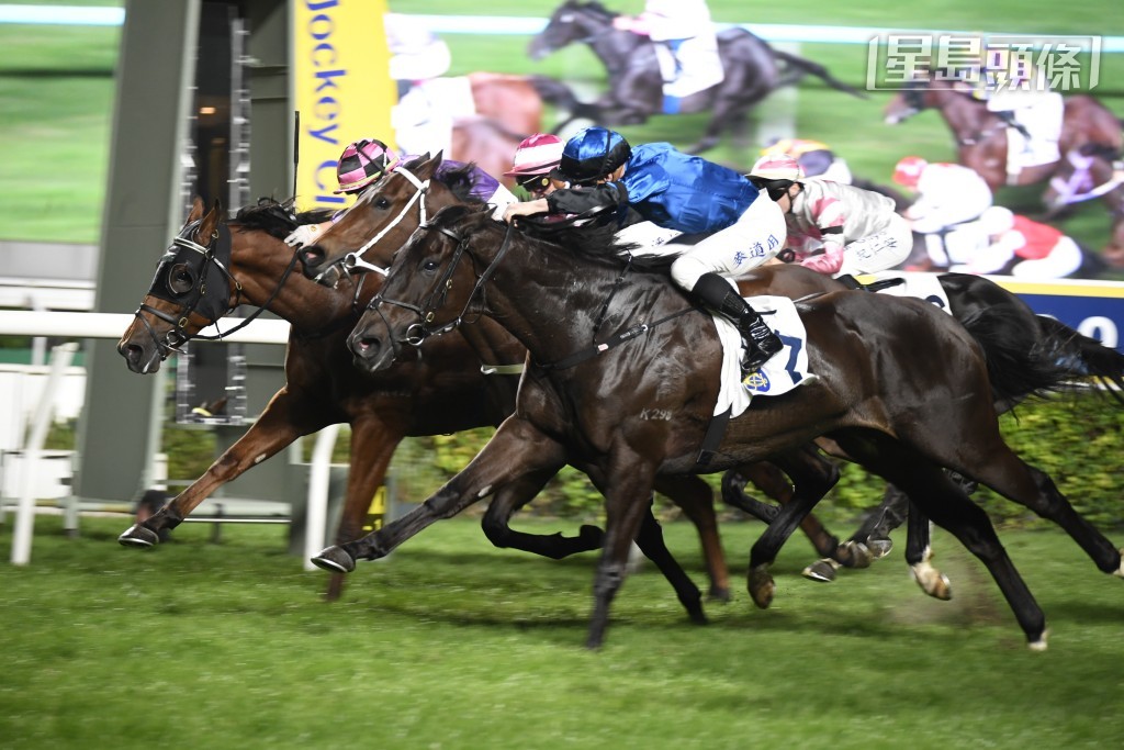 「一定超」(圖) 是麥道朗本周六實力坐騎之一。