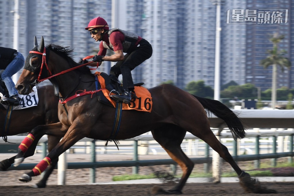 「高度評價」今早由田泰安親操。