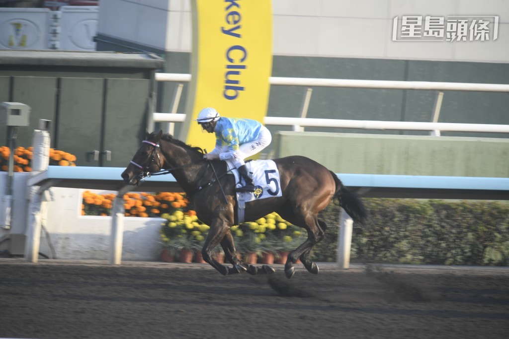 「樂勝天下」近兩戰均打疊取勝，狀態當勇，有力再在潘頓發揮下跑得佳績。