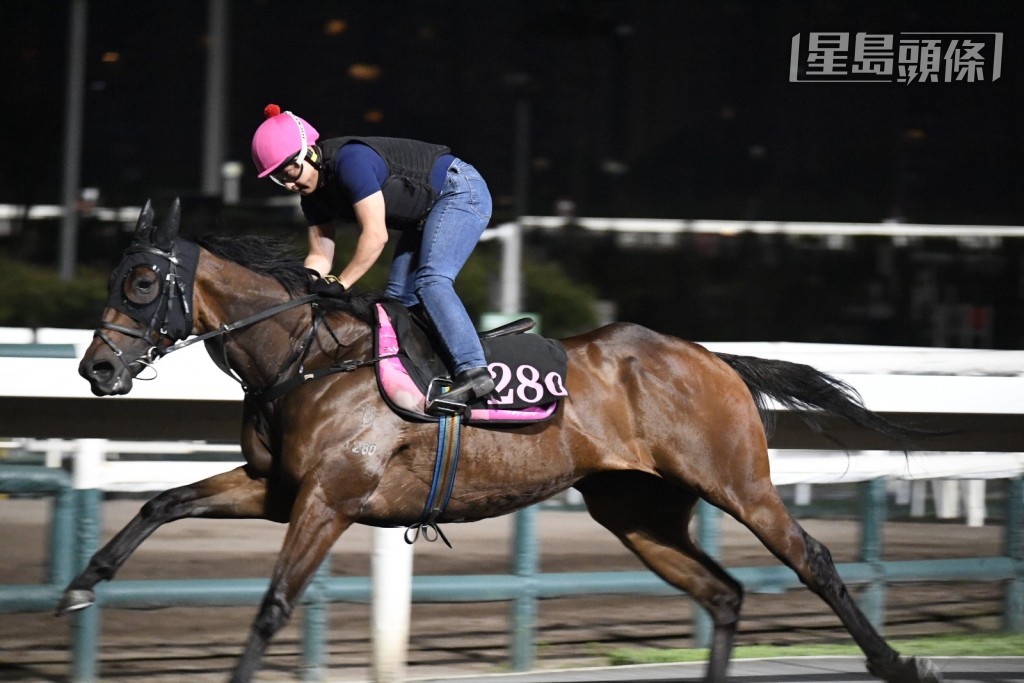 周日有程马「哈罗威」 (J280) (图) 及「黄金骑士」出大圈操练时，威哥都高举望远镜吼到实，动态积极。