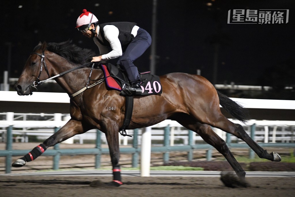 「樂勝天下」(圖) 今朝出跳確吸引不已，未夠五點已進行試跑，亦是最早出跳的參戰馬，當時姚本輝一貫跟出跟入，課後甚至落埋隧道底接馬。