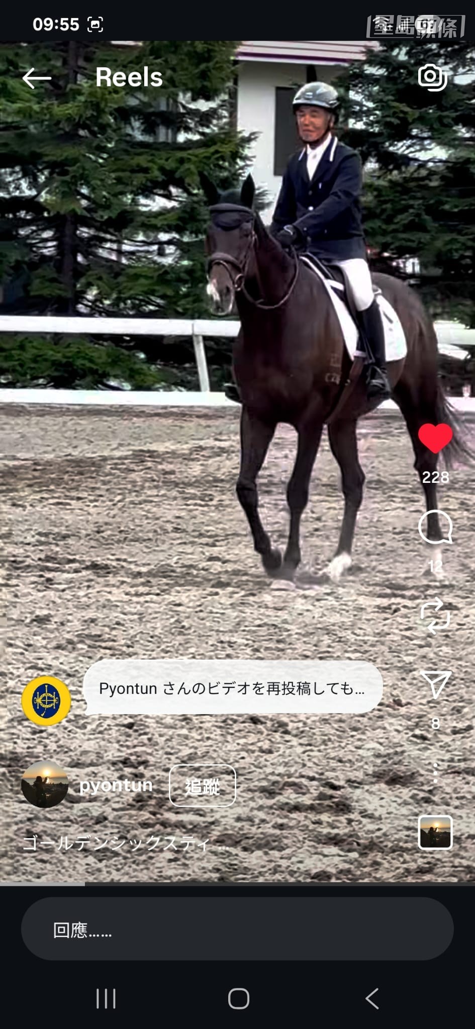 「金鎗六十」聽到馬迷和觀眾報以掌聲，馬兒十分開心，策騎員立即餵馬王食小吃，人馬互動畫面溫馨。短片截圖來源：pyontun ig , 「金鎗」系馬主陳家樑ig
