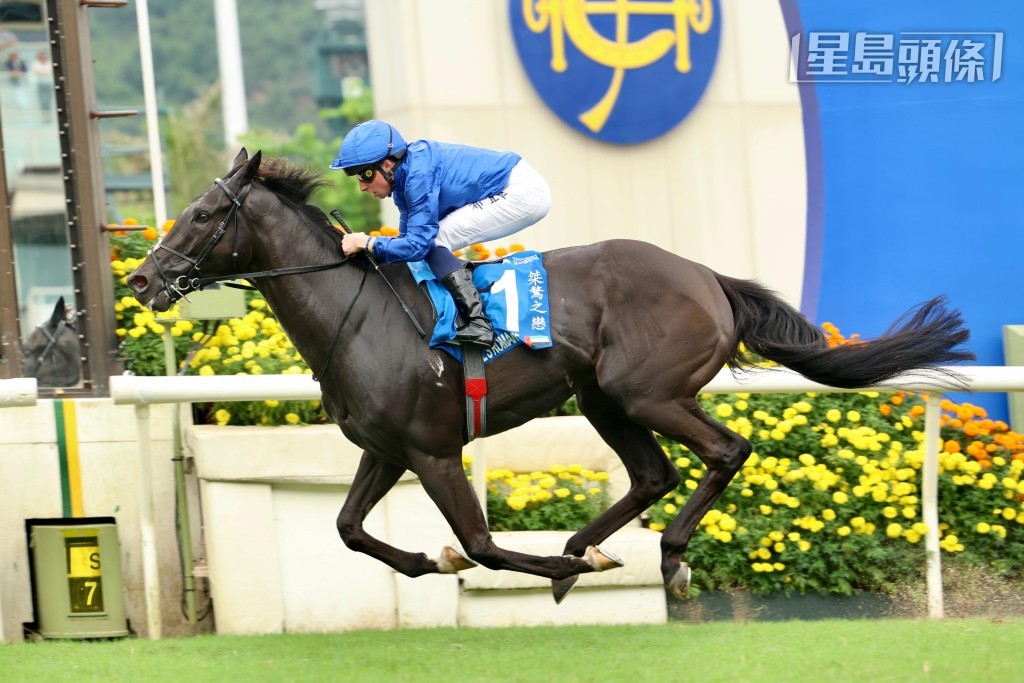 「桀骜之恋」刚周日胜出今个马季最后的一级赛冠军暨遮打杯。
