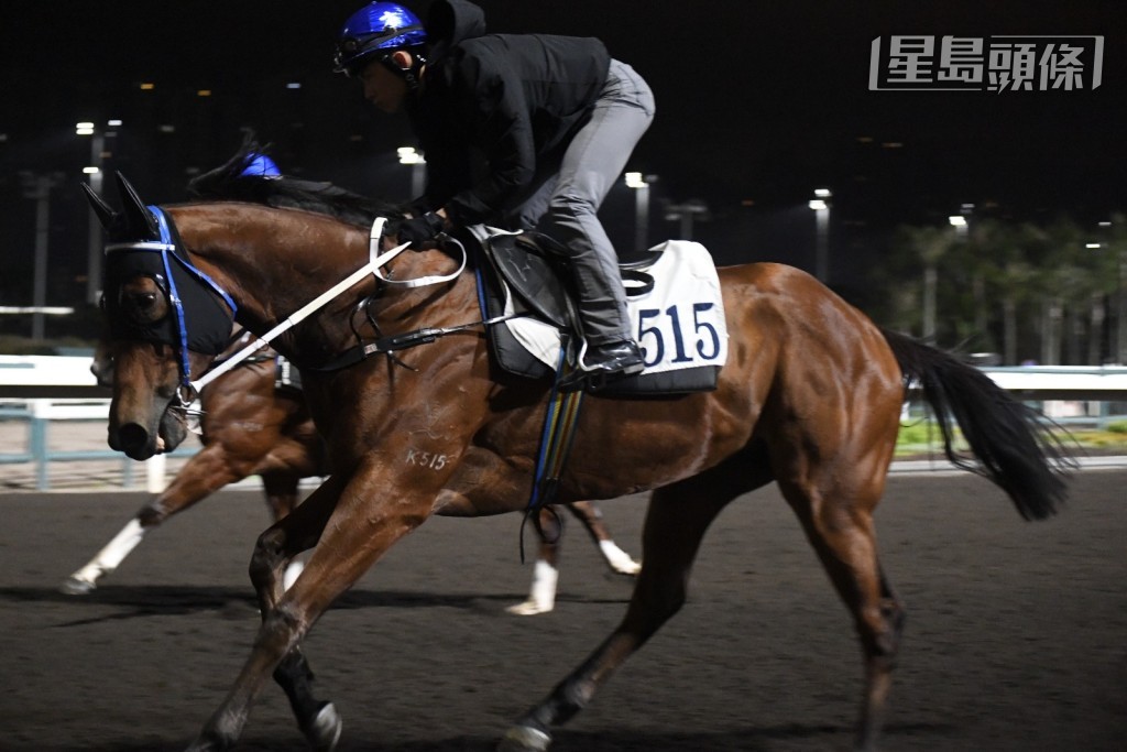 周三谷草赛事,出争第三场的「团长好」(图) 今早在赛前加课以提升状态,值得优先留意。 周三谷草赛事,出争第三场的「团长好」(图) 今早在赛前加课以提升状态,值得优先留意。