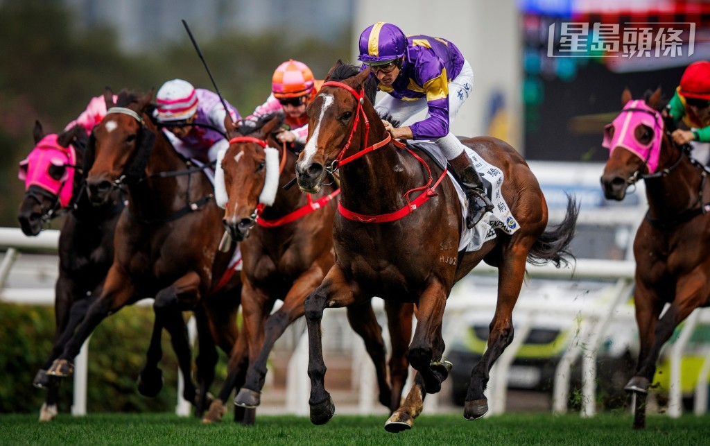 「驕陽明駒」擊敗「喜蓮勇感」勝出香港經典一哩賽。