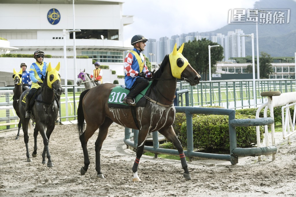 「電訊同心」上回放入一席Q腳，反映評分有利。