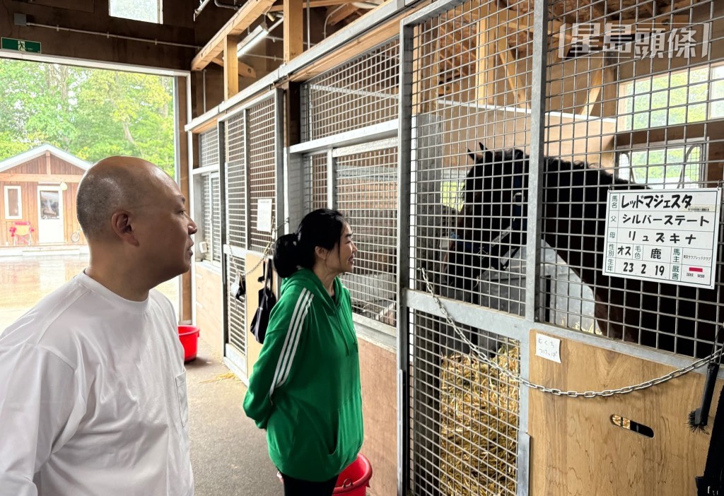 苏家现时以「苏振雄」名义为日本注册马主，现时正式在日本养马，可以参与日本的赛马活动和培育配种。