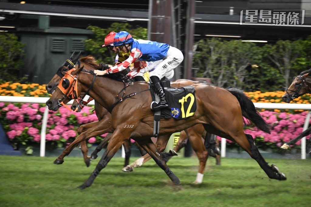 徐雨石在本周三谷草賽事有七匹正選馬，「電訊」系的「電訊驕陽」(圖) 及「電訊巴打」分別列陣第二及八場。