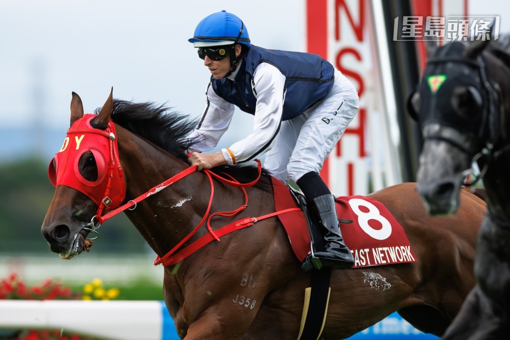 由連達文策騎的「舉步生風」於阪神競馬場以第十五名過終點。