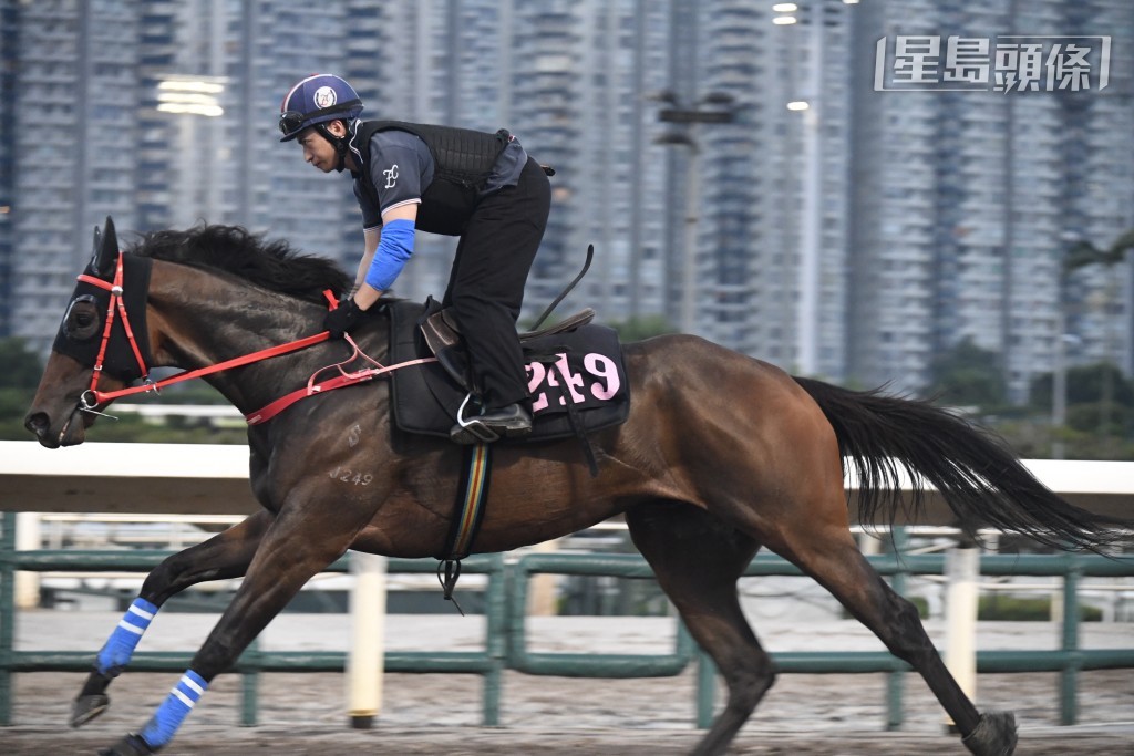今朝「壯志凌雲」試跑亦相當矚目，不論出跳前後羅富全都現身機坪主持大局，課後甚至一度落手拖馬，動態非常肉緊。