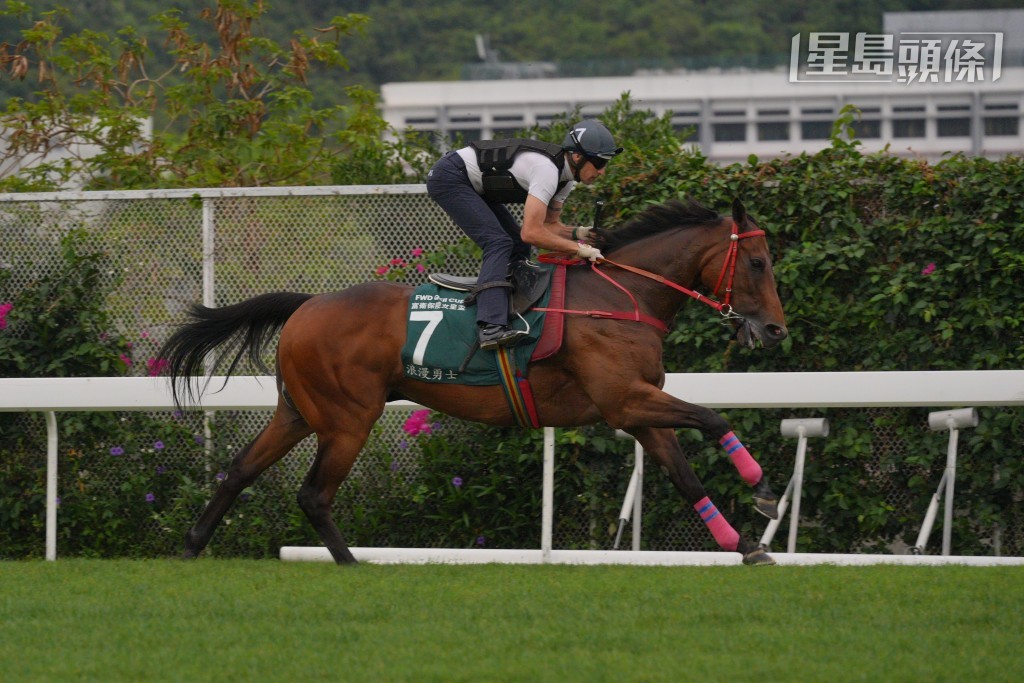 沈集成鎮倉寶「浪漫勇士」今早快跳千八米，練者全程在場打點，跟出跟入，非常緊張。