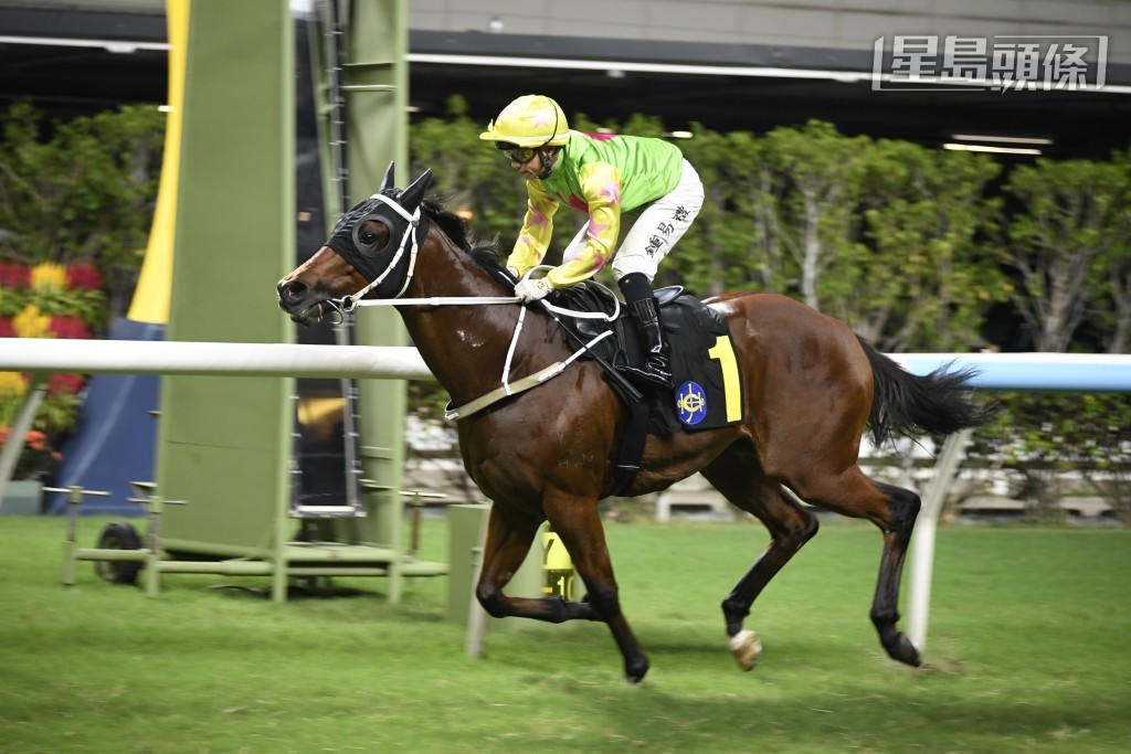 潘顿当晚除了骑「雷神太保」外，还为「胜万金」(图)、「南区之星」、「雷神太保」、「大回报」、「醒目先驹」、「步风雷」及「谦谦君子」操刀。