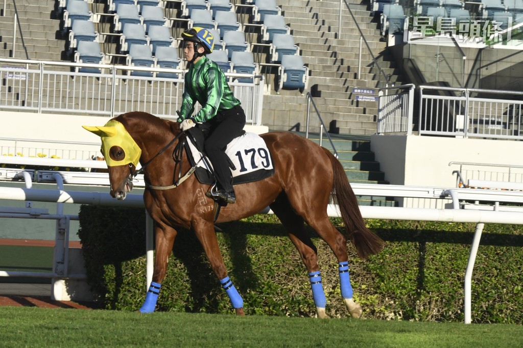 香港有不少馬名都很有趣，部分以食物為名，如「蝦餃燒賣」、「豬潤燒賣」（圖）、「怪獸叉燒」等。