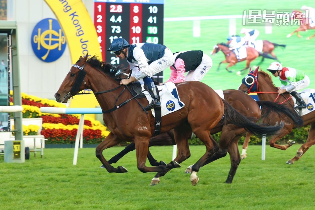 最新消息是廖康铭刚决定不待拣马「十五十六」的潘顿回复，布文，「白鹭金刚」会配布文出争香港经典一哩赛。