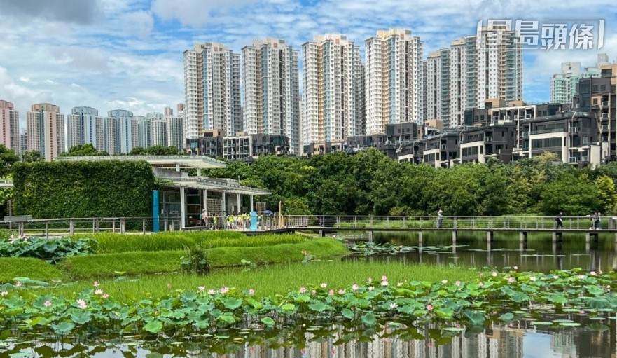 香港濕地公園將於6月5日免費開放,並提供免費公眾導賞團。資料圖片 香港濕地公園將於6月5日免費開放,並提供免費公眾導賞團。資料圖片