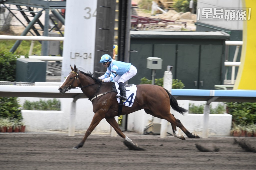 「日日」系馬主姜炳輝今季養馬運夠旺，「瑤瑤日上」(畾) 今季取兩冠一季。