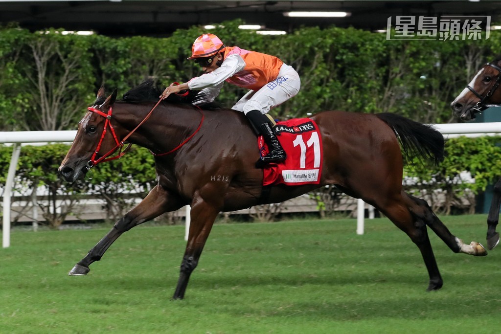 「喜蓮勇感」今次之勝為其馬主贏得一百五十萬港元的自購曾出賽馬匹特別獎金。