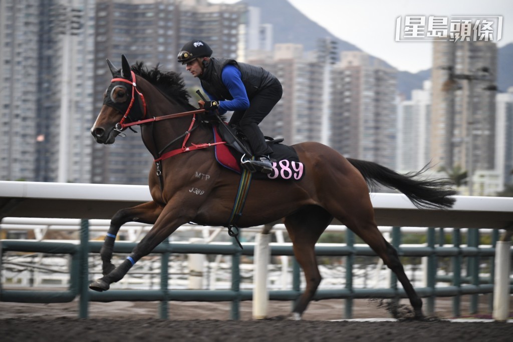 艾兆禮為參戰馬「金主」(圖) 出跳，再睇收操之後，騎者更同文家良傾談一段時間，自然輕易成為焦點所在。(資料圖片)