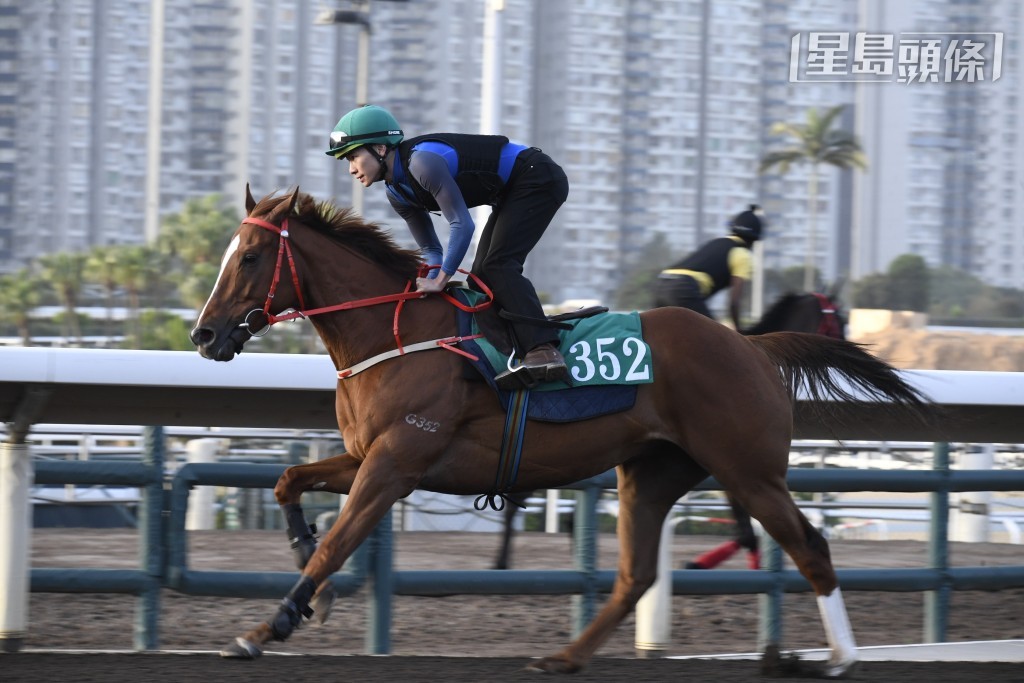 「謙謙君子」(圖) 再一次找到贏馬配搭艾兆禮披甲，同時是加盟葉廄一年有多後，人馬首次合作。