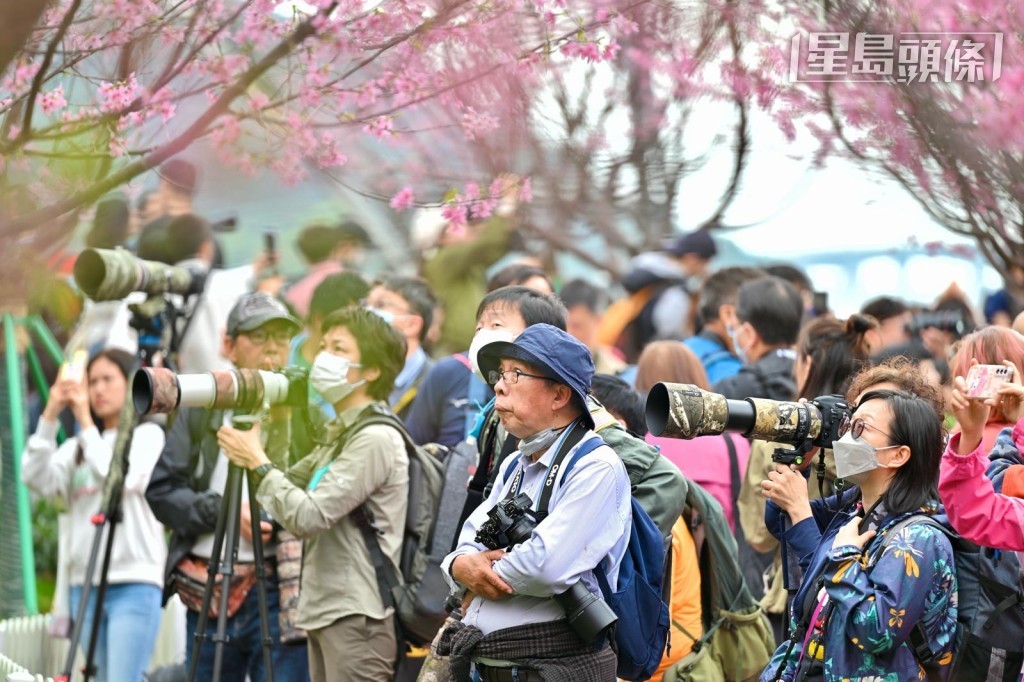 大批拍友帶備長短火到場。鍾健華攝 大批拍友帶備長短火到場。鍾健華攝